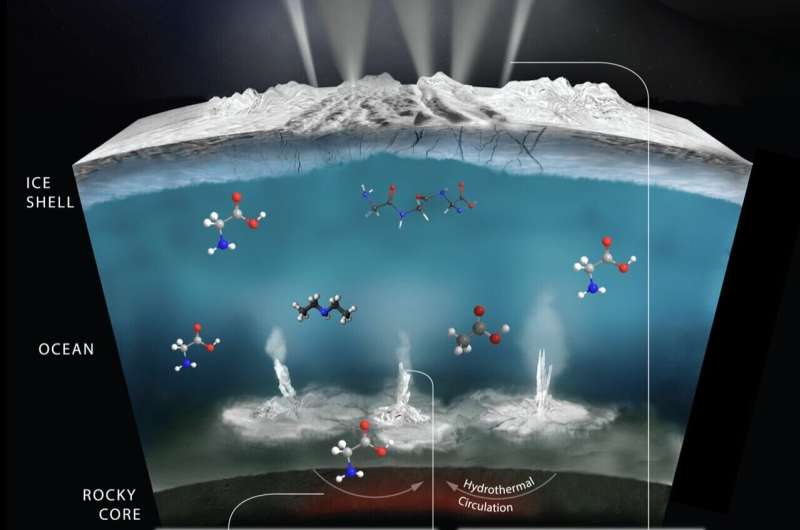 Enceladus Laboratory Simulation: Uncovering Biomarkers in Saturn s Moon