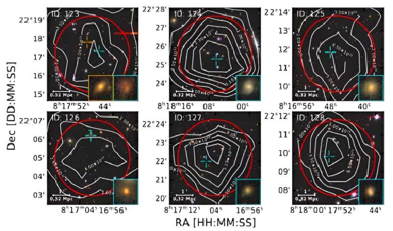 FAST Telescope Uncovers Abundant Gas-Rich Galaxies in the Distant Universe