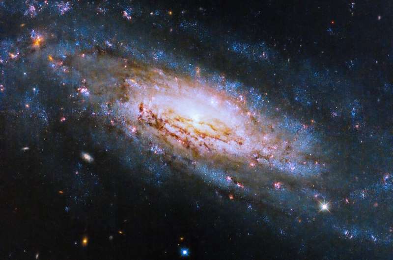 Hubble Reveals NGC 4951: A Spiral Galaxy with a Powerful Black Hole