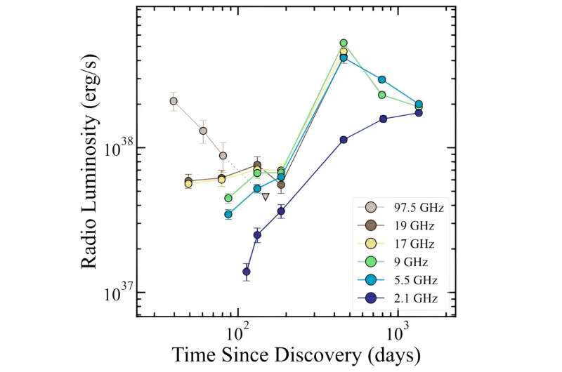 ASASSN-19bt: Unusual Radio Evolution in a Tidal Disruption Event