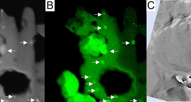 Hayabusa2 Reveals Interplanetary Space Effects on Asteroid Ryugu
