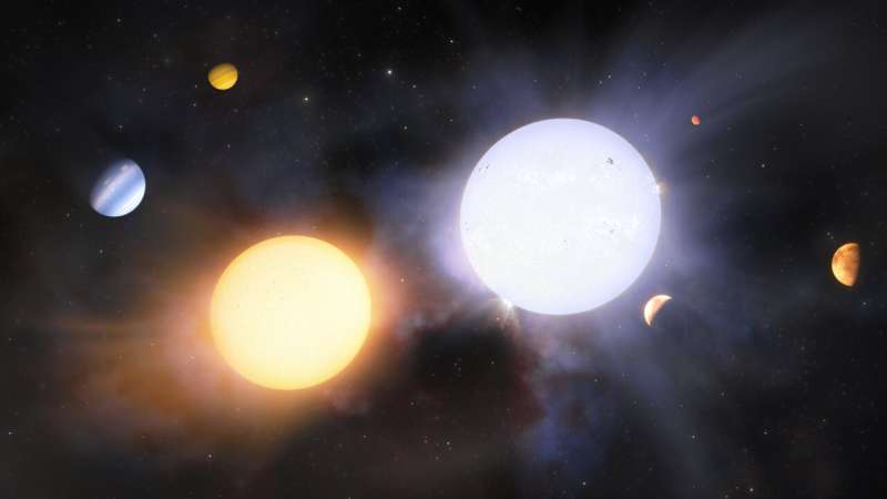 Unraveling the Origins of Diverse Giant Binary Stars