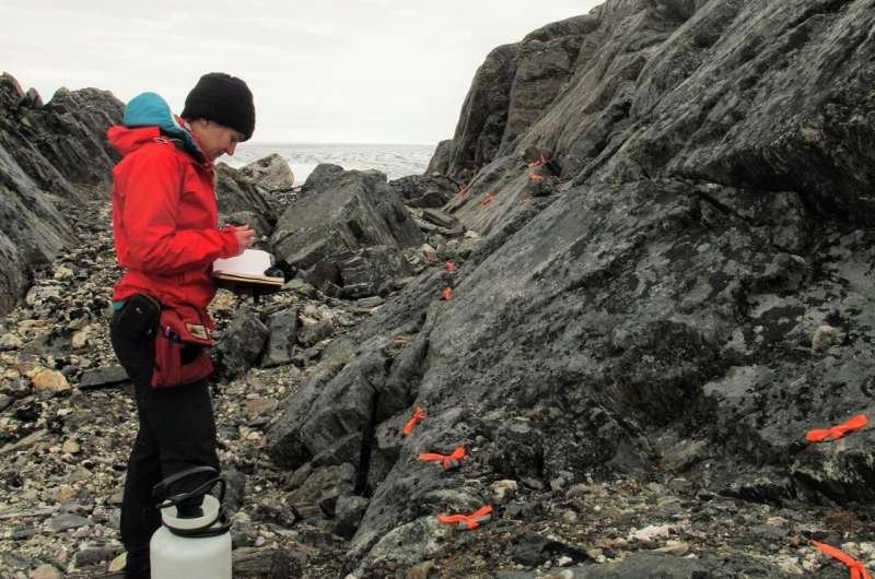 Ancient Earth s Magnetic Field: New Evidence Reveals 3.7 Billion-Year-Old Record