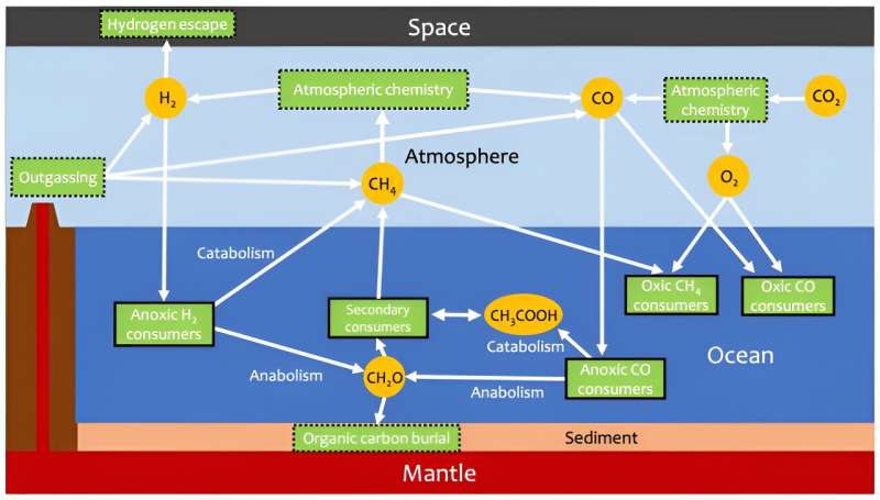TRAPPIST-1e: Could This Exoplanet Harbor Life? Exploring the Possibilities