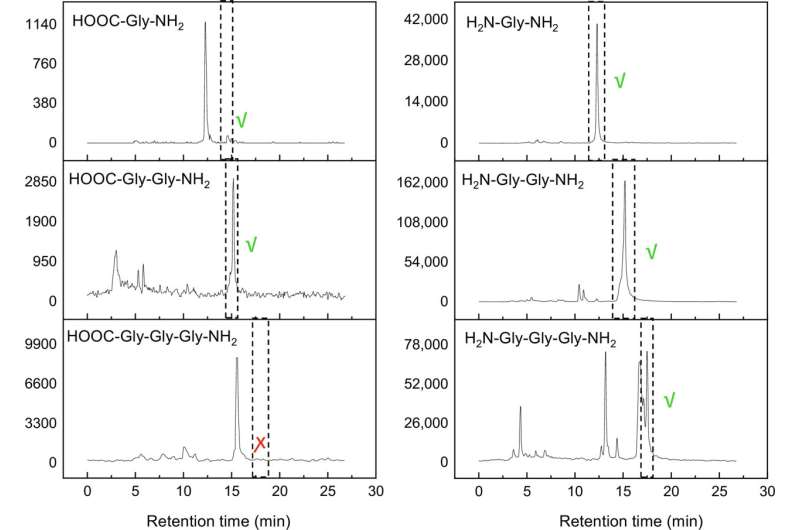 Interstellar Ice Reveals Potential for Biomolecule Formation: Peptide Study