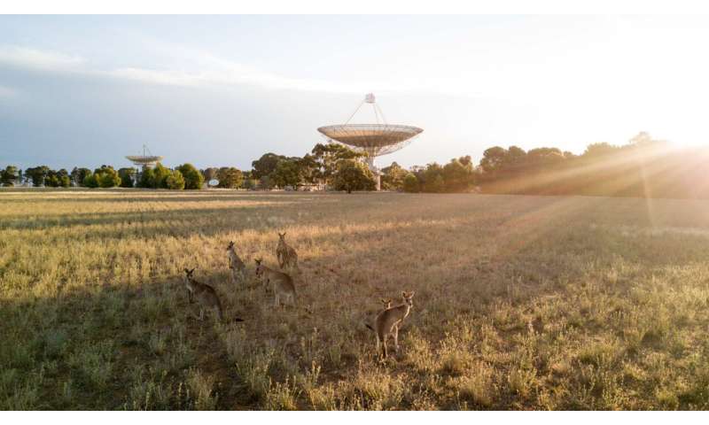 Nearby Magnetar Exhibits Unexpected Radio Pulse Behavior