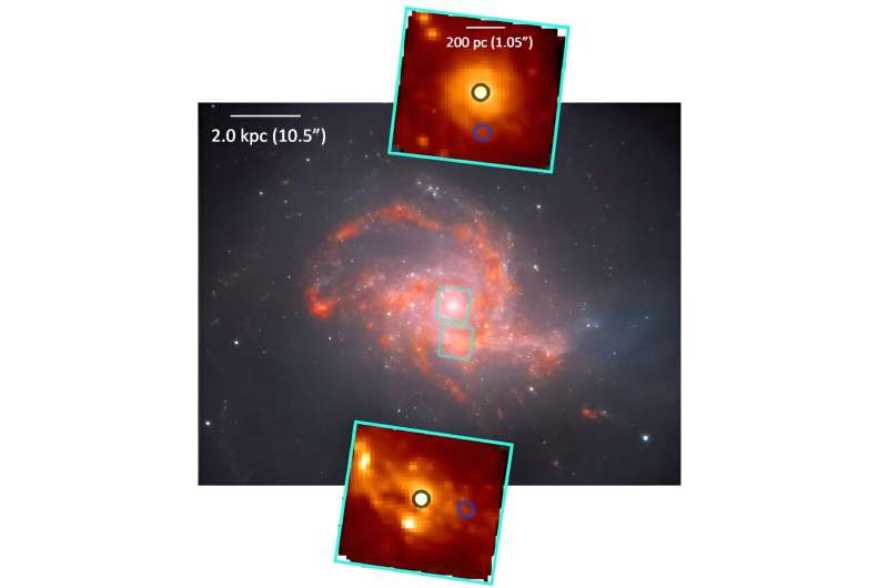 JWST Reveals Molecular Outflows in Merging Galaxy NGC 3256