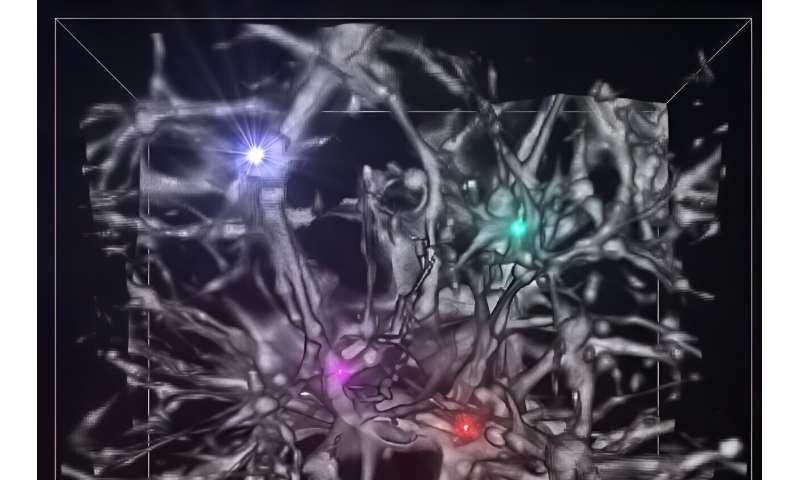 First Stars: Supercomputer Simulations Reveal Cosmic Origins