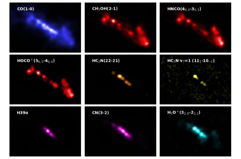 ALMA Uncovers New Molecular Signatures in Starburst Galaxy