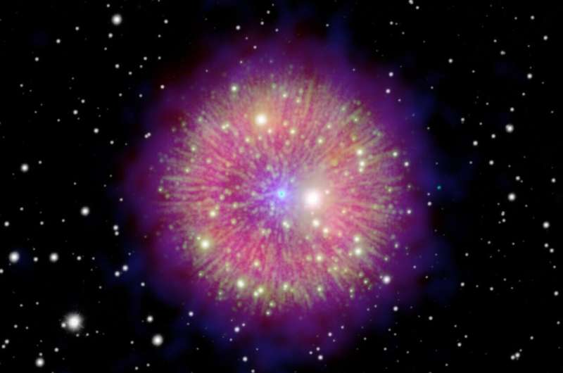 Supernova 1181: Unraveling the Echoes of an 800-Year-Old Explosion
