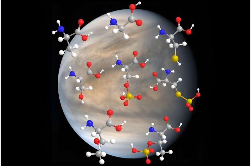 Amino Acids Stable in Venus-like Conditions: Implications for Extraterrestrial Life