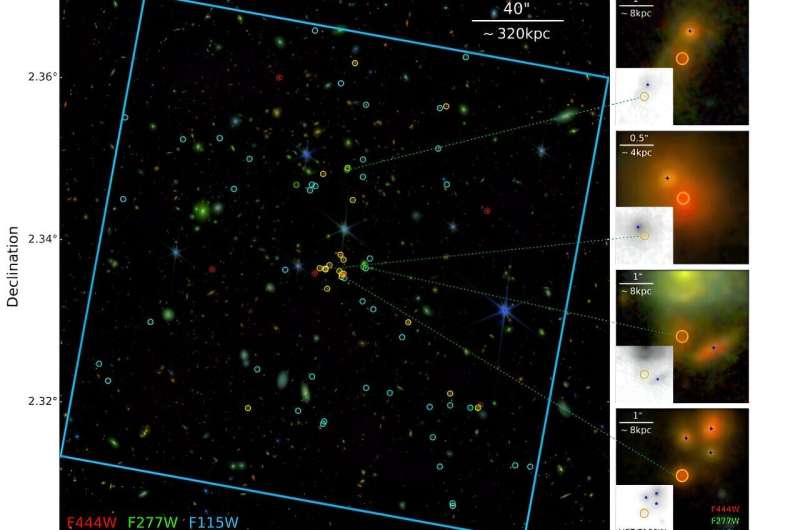 JWST Uncovers New Insights into Distant Galaxy Cluster CL J1001+0220