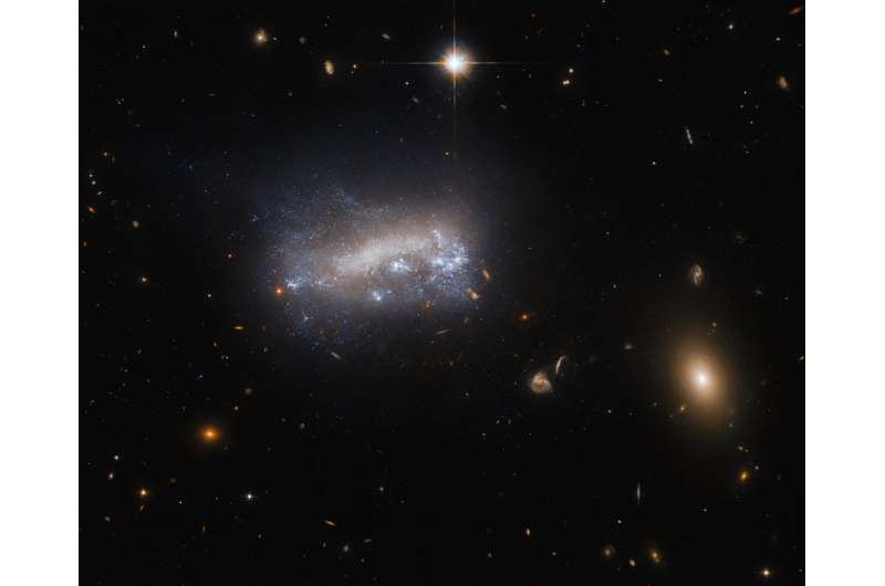 Hubble Telescope Reveals Dwarf Galaxy LEDA 4216