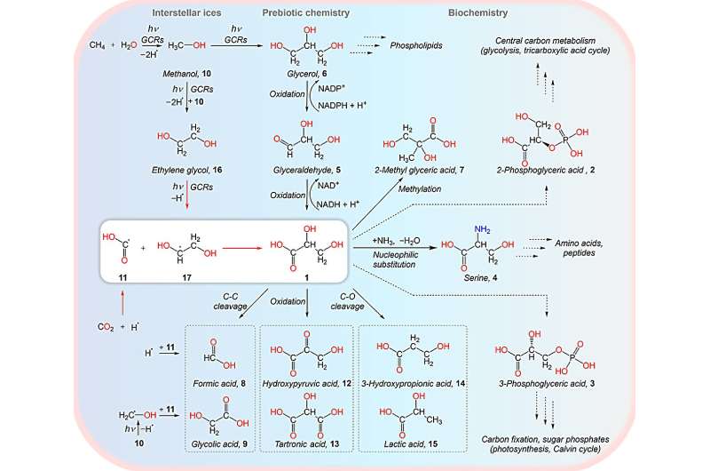 Space-Born Sugar Acid: New Insights into the Origins of Life