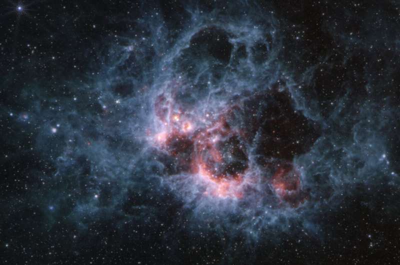 Webb Telescope Reveals Stellar Wind Sculpting in NGC 604 Star-Forming Region