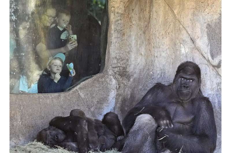 Animal Behavior During Solar Eclipses: Upcoming Research & Past Observations