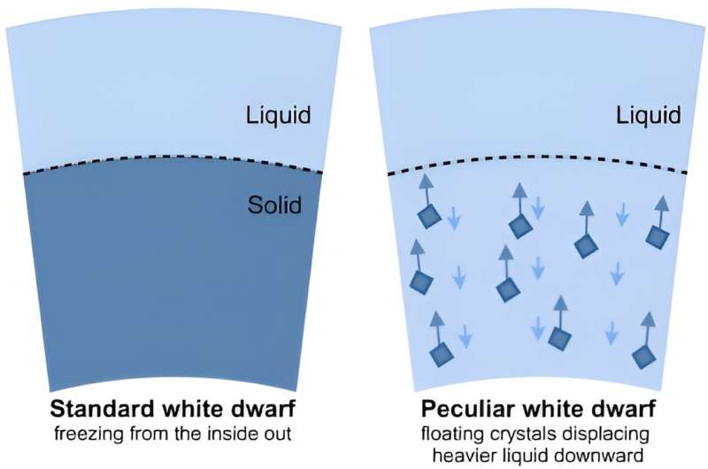 White Dwarf Stars: New Discovery Challenges Stellar Evolution Theories