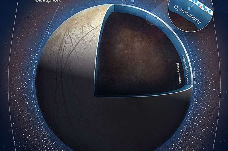 Europa s Oxygen Levels: Implications for Extraterrestrial Life