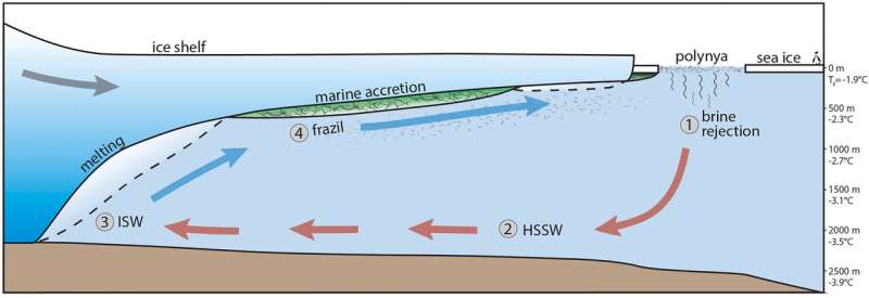 Ocean World Temperatures Revealed by Ice Shell Thickness