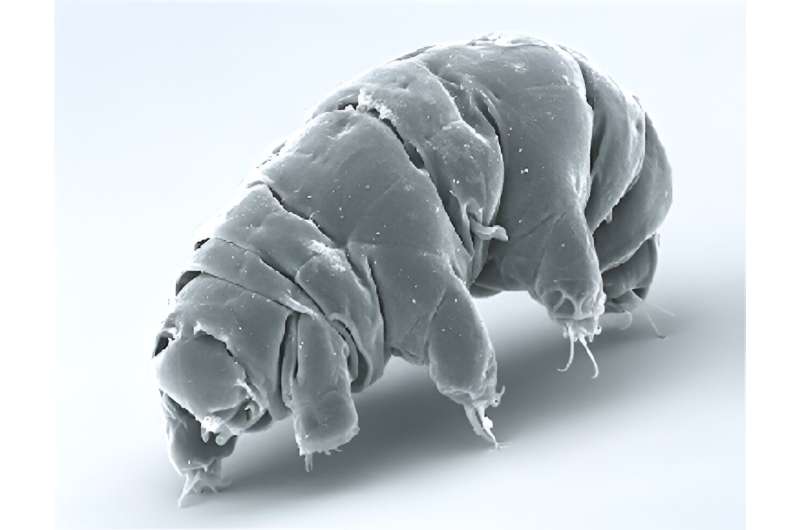 Tardigrades on the Moon: Could They Survive Lunar Conditions?