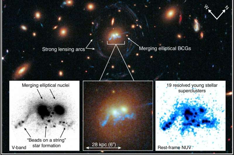 SDSS J1531+3414 Galaxy Cluster: A Hubble Space Telescope Study