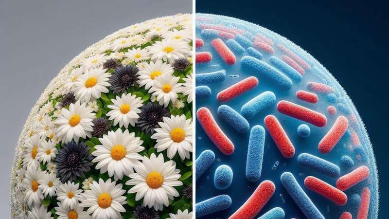 Testing Planetary Regulation: Experimental Daisyworld Model Proposed