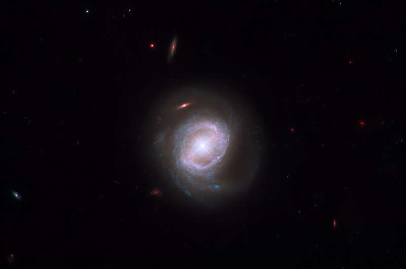 XMM-Newton Observes Black Hole Disrupting Galactic Star Formation