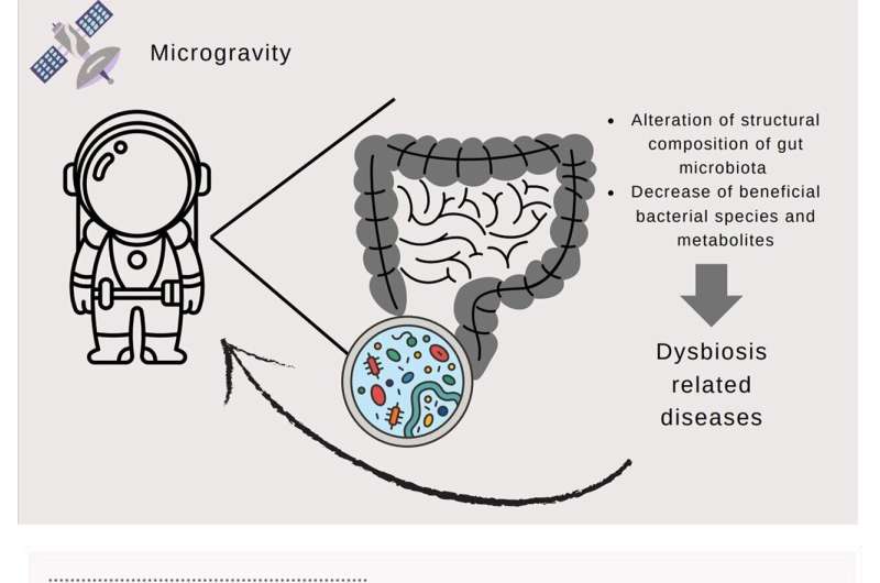 Astronaut Microbiome Research: Ensuring Success in Deep Space Missions