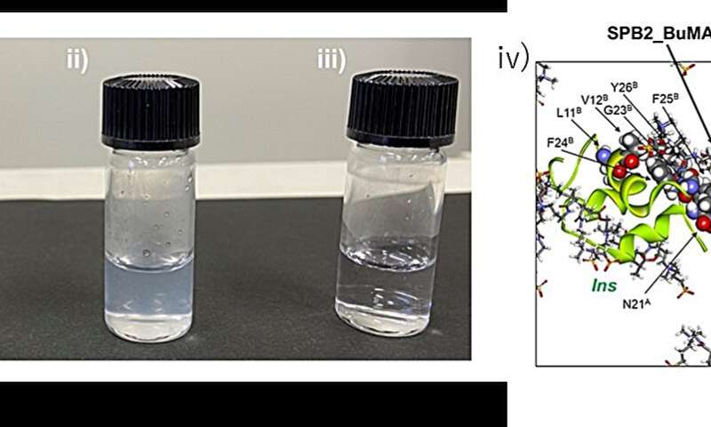 Zwitterionic Polymers: Advancing Drug Safety and Disease Prevention