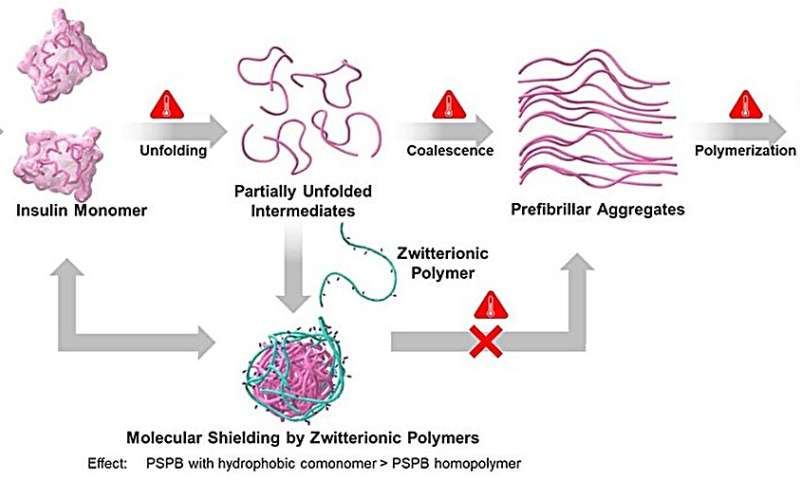 Zwitterionic Polymers: Advancing Drug Safety and Disease Prevention
