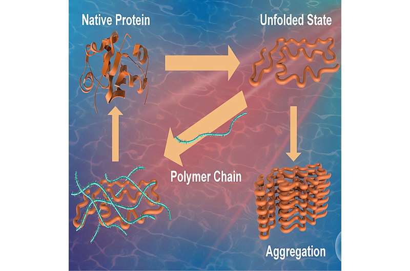 Zwitterionic Polymers: Advancing Drug Safety and Disease Prevention