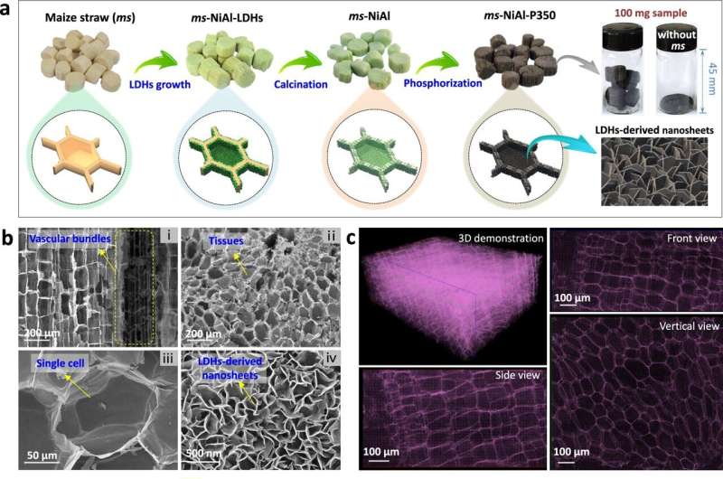 Sulfur-Free Catalyst for Sustainable Green Diesel Production
