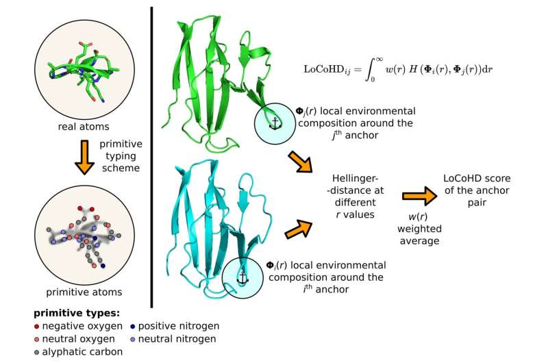 LoCoHD Score Calculation: A Novel Method for Protein Research