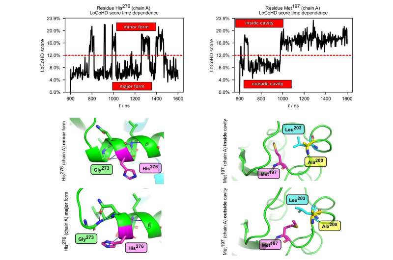 LoCoHD Score Calculation: A Novel Method for Protein Research