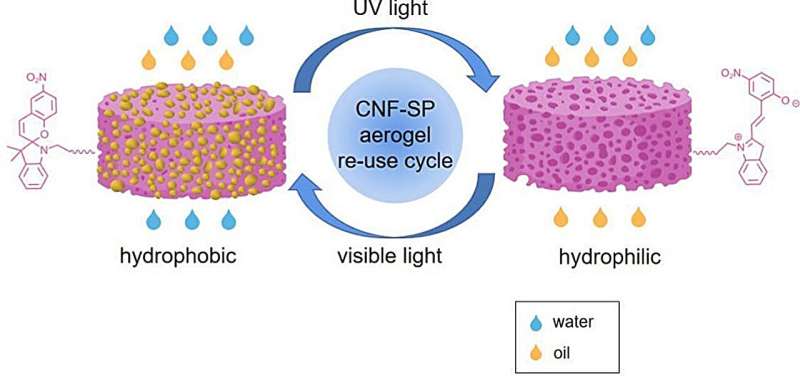 Innovative Reusable Sponge for Oil Spill Cleanup in Cold Waters