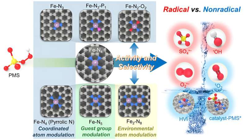 Single-Atom Catalysts for Advanced Water Purification: A Novel Approach