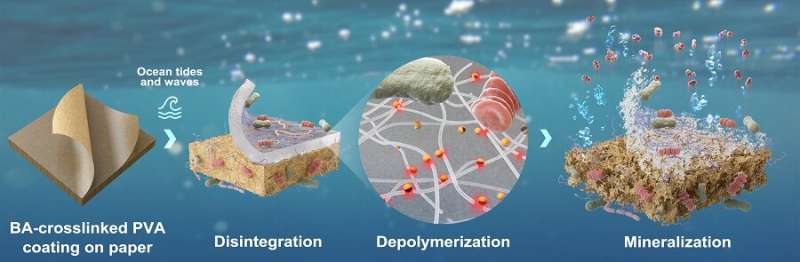 New Paper Coating Reduces Microplastic Pollution & Enhances Performance