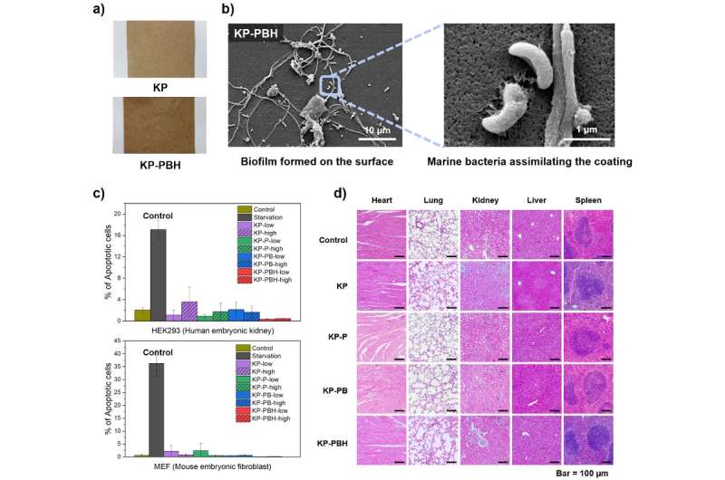 New Paper Coating Reduces Microplastic Pollution & Enhances Performance