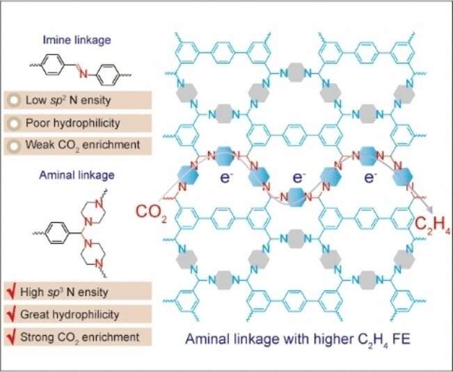 Metal-Free Organic Framework Enables Electrocatalytic Ethylene Production from CO2