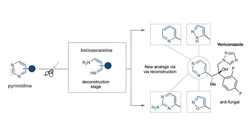 Novel Chemistry Method Accelerates Pharma & Agrochemical Development