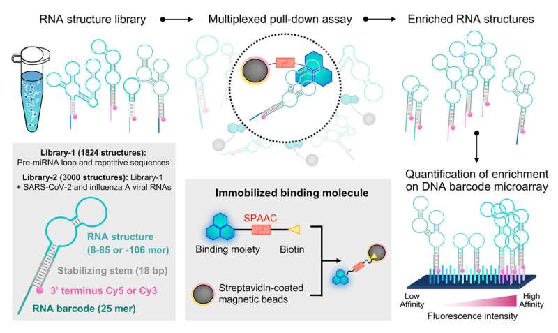 Forest Screening: Unveiling Small Molecule-RNA Interactions