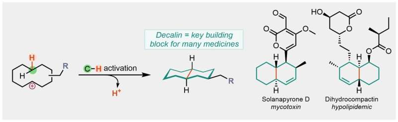 Novel C-H Activation Reaction for Medicinal Chemistry Applications