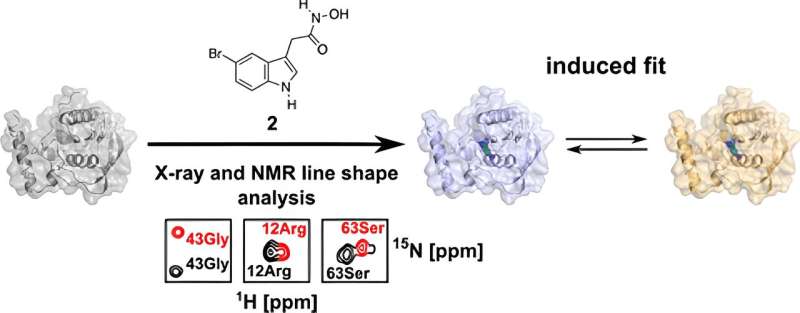 Promising New Antibiotic Candidate Discovered by Bochum Researchers