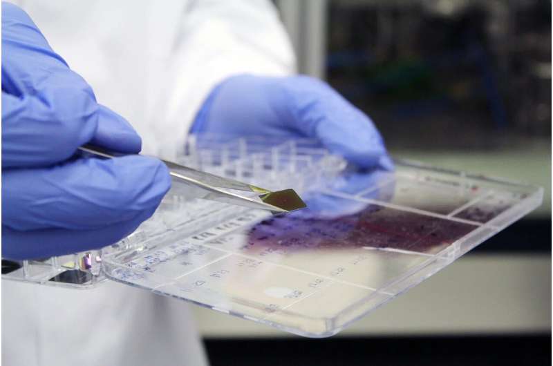 Antiviral Coatings & Cell Culture Surfaces: Customized Production | Kiel University