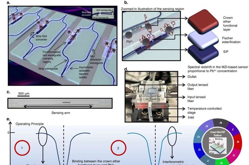 MIT & Partners Develop Low-Cost Lead Detection Sensor for Water