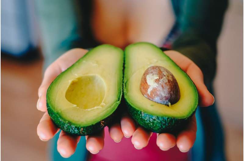 Avocado Waste to Sustainable Packaging: A New Study