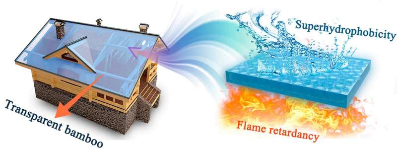 Transparent Bamboo Composite: A Sustainable Alternative to Glass