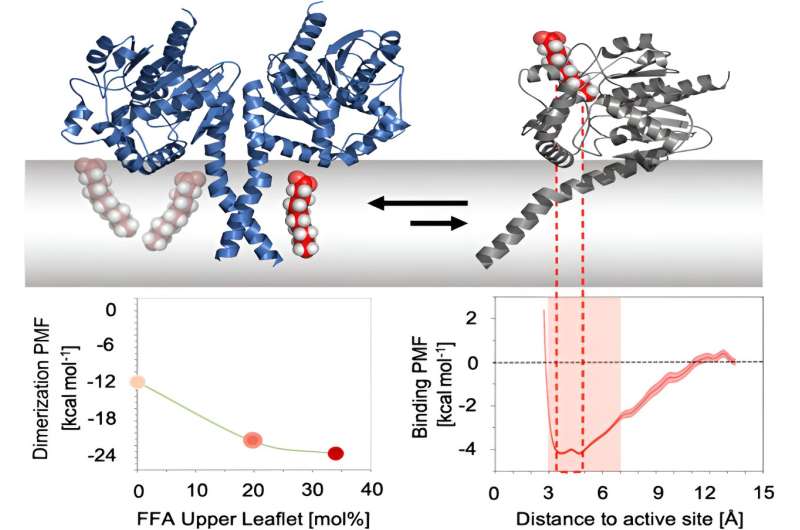 Novel Antibiotic Development Approach Discovered to Combat Drug-Resistant Pseudomonas aeruginosa
