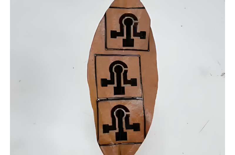 Leaf-Based Sensors: A Sustainable Solution for Medical & Lab Applications