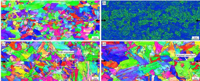 Seamless CLAM Steel Joints via Hot Compression Bonding: A Study